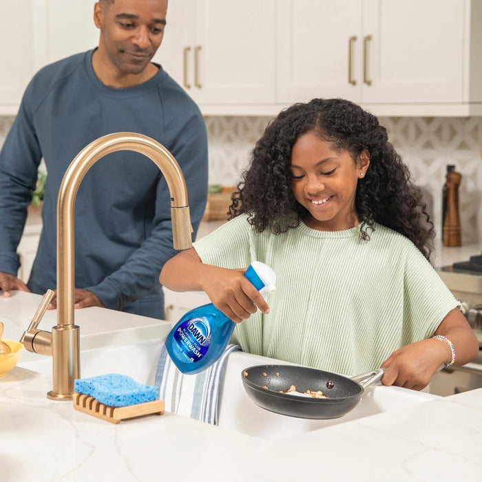 Dawn Fresh Platinum Powerwash Dish Spray Refill - 2ct