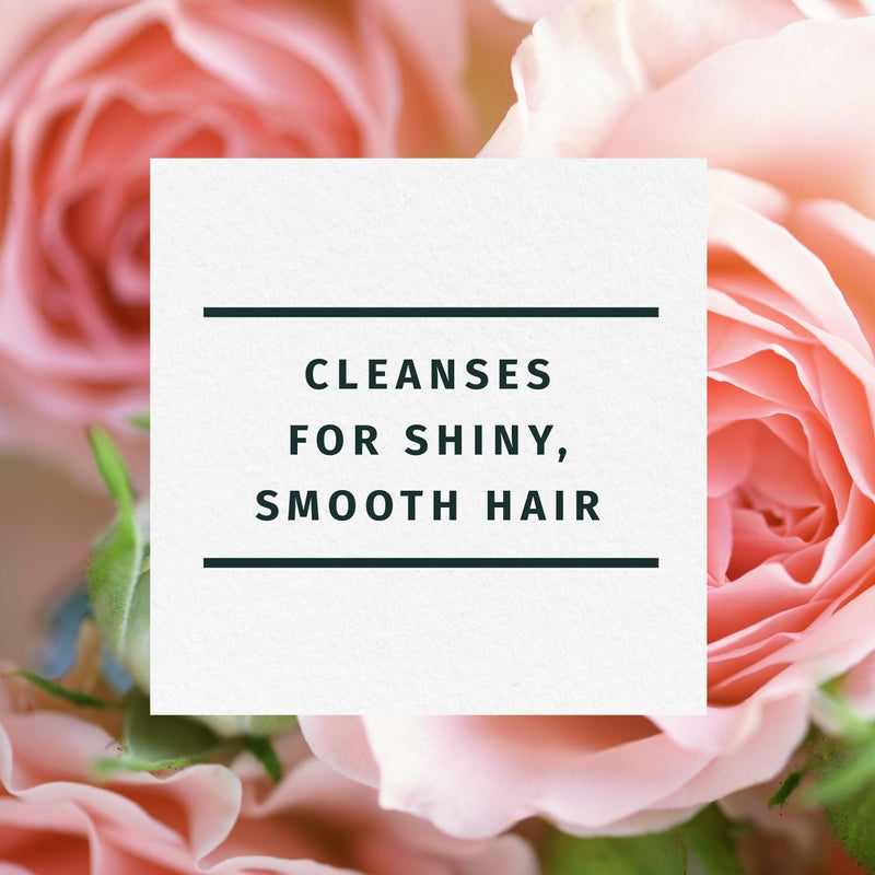 Herbal Essences Classic Smooth Shampoo Dual Pack - 27 fl oz