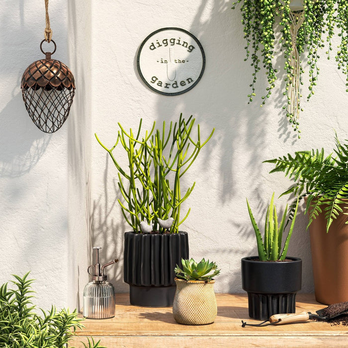 Indoor/Outdoor Glass Plant Mister with Plastic Pump - Threshold: Leakproof Watering Spritzer, No Assembly Required