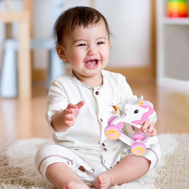 Sunny Days Unicorn Roller Pull Toy
