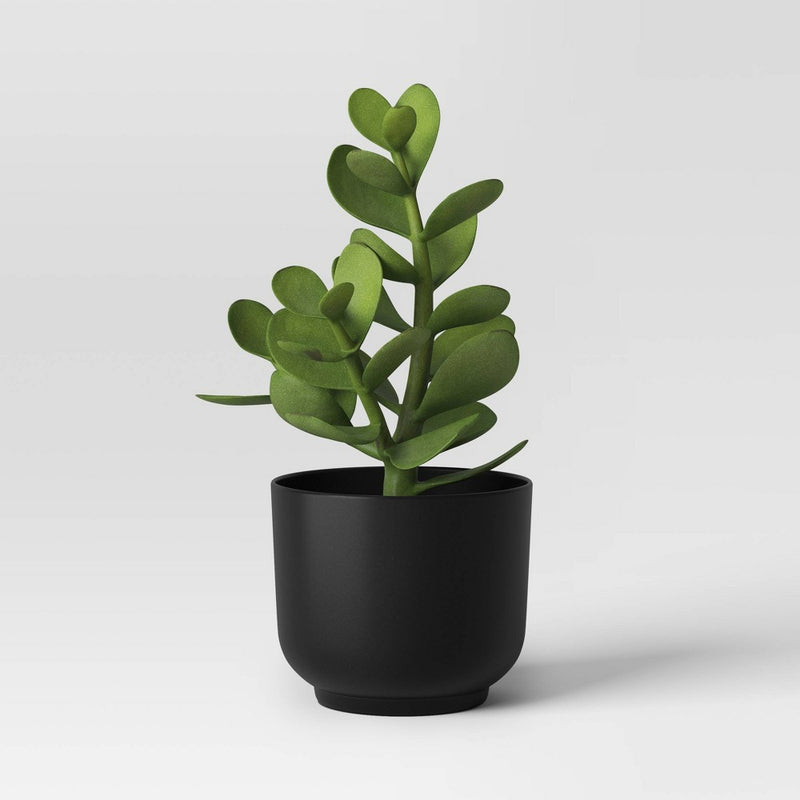 Succulent Artificial in Black Pot - Room Essentials