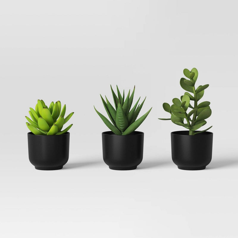 Succulent Artificial in Black Pot - Room Essentials