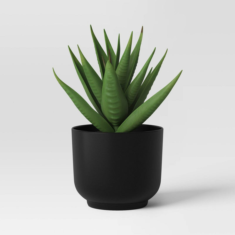 Succulent Artificial in Black Pot - Room Essentials