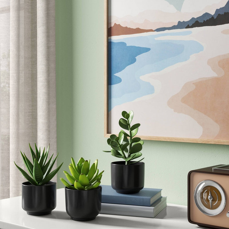 Succulent Artificial in Black Pot - Room Essentials