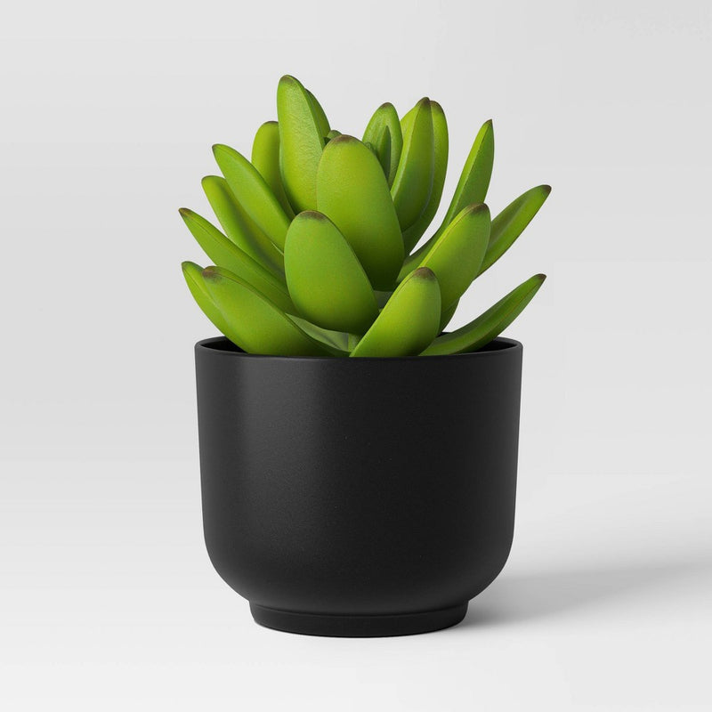 Succulent Artificial in Black Pot - Room Essentials