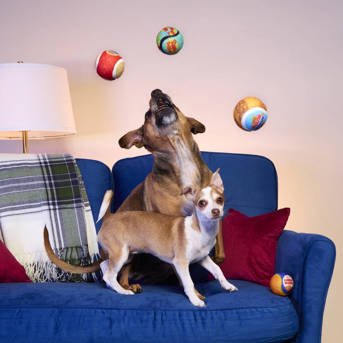 BARK Barkbuster Movie Night Snack Binge Dog Ball Toy - 4pc