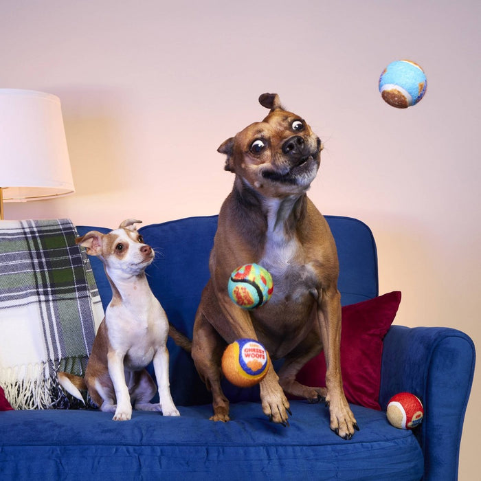 BARK Barkbuster Movie Night Snack Binge Dog Ball Toy - 4pc