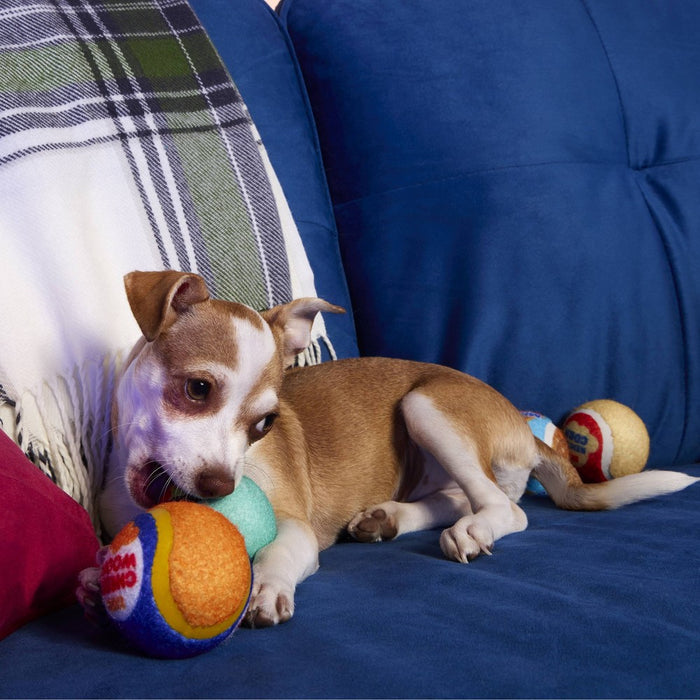 BARK Barkbuster Movie Night Snack Binge Dog Ball Toy - 4pc