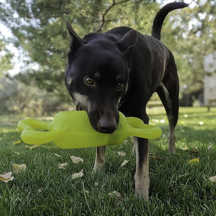 KONG Jumbler Tug Dog Toy - S/M