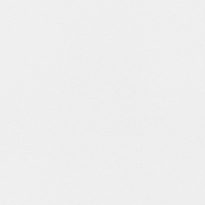 2pc Southport Patio Dining Chairs with Cushions, Wicker/Steel Frame - Threshold (LOCAL PICKUP ONLY)