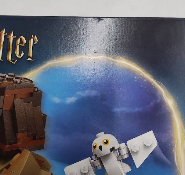 LEGO Harry Potter Hagrid & Harry's Motorcycle Ride 76443 SEE DETAILS