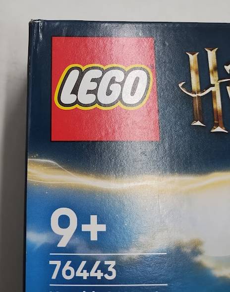 LEGO Harry Potter Hagrid & Harry's Motorcycle Ride 76443 SEE DETAILS