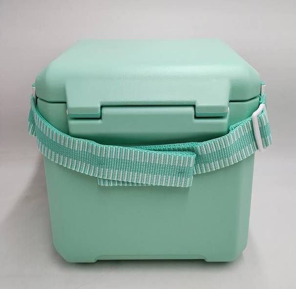Igloo Tag Along Too 11qt Hard Sided Cooler - Seafoam