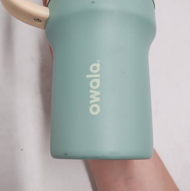Owala 40oz Straw Stainless Steel Tumbler - Misty Meadows READ DESCRIPTION