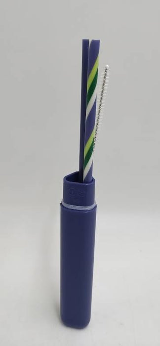 Starbucks Plastic Reusable Straw 2pk Brush and Case