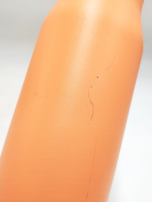 Zak Designs 20 fl oz Stainless Steel Tranquility Bottle - Orange *SEE DETAILS*