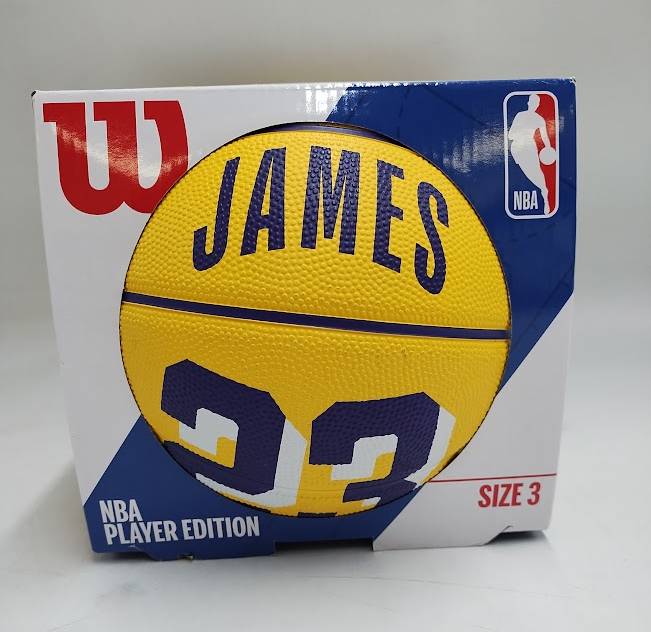 NBA Los Angeles Lakers LeBron James Mini Basketball