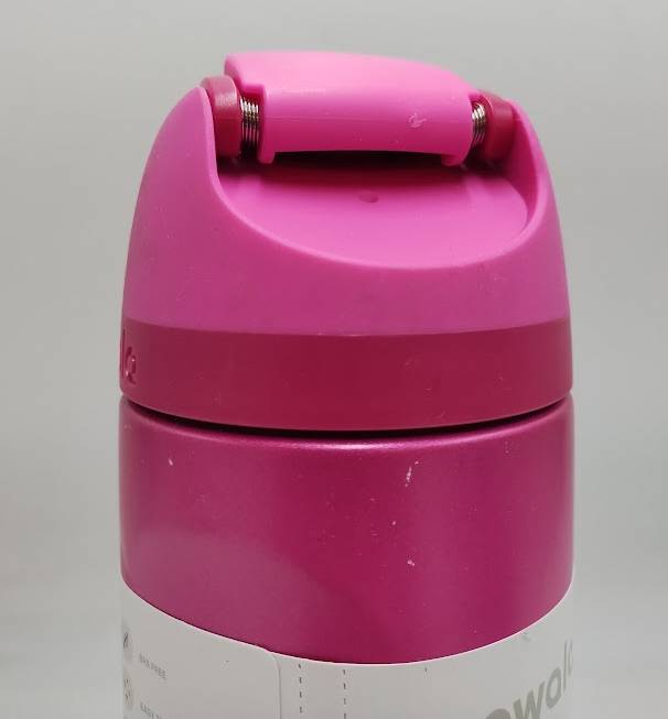 Owala 24oz Stainless Steel FreeSip Water Bottle - Read My Lips READ DESCRIPTION