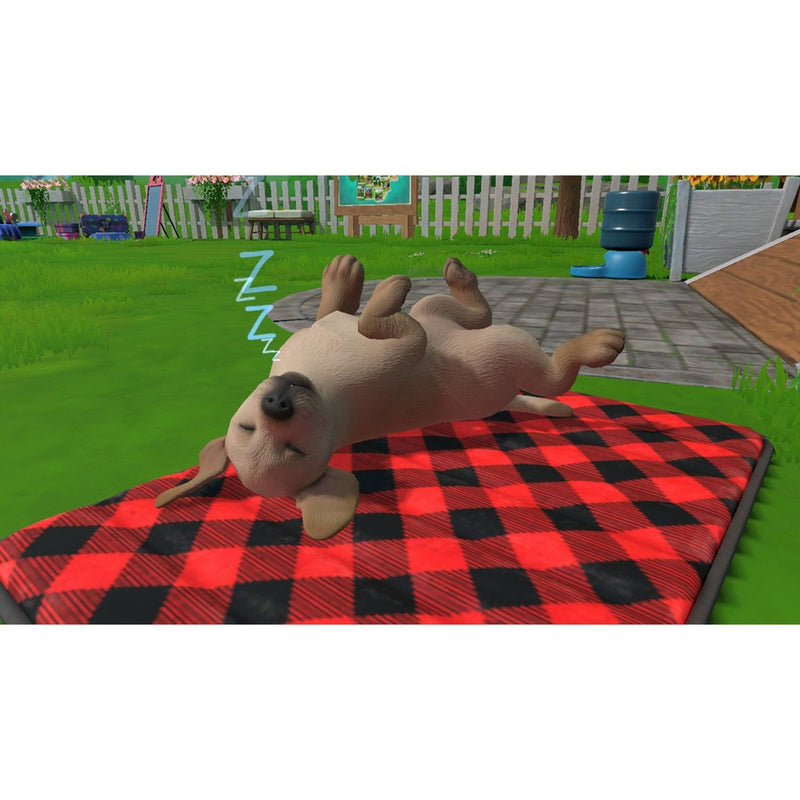 Little Friends: Puppy Island - Nintendo Switch
