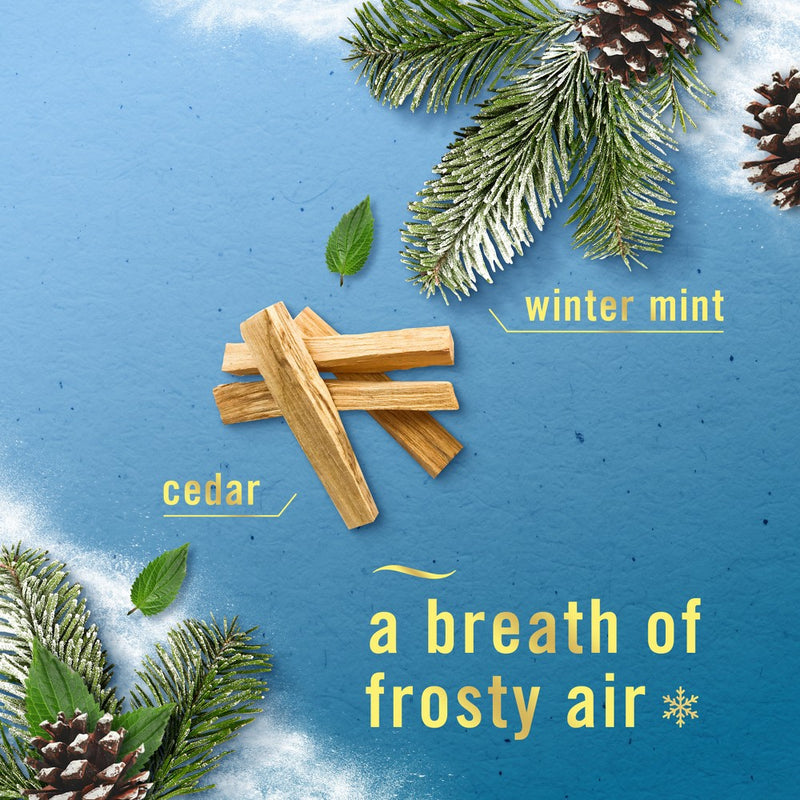 Febreze Luxe Plug Dual Air Freshener Refills - Serene Snowfall - 1.75 fl oz/2ct