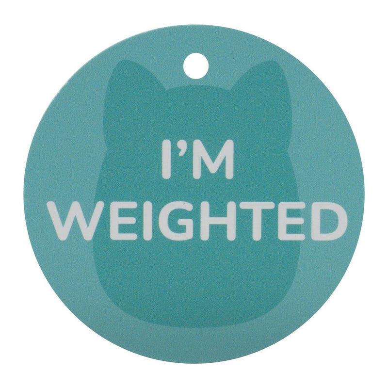 Squishmallows 8" Weighted Kiwi Bear Sleepamallow Stuffed Animal