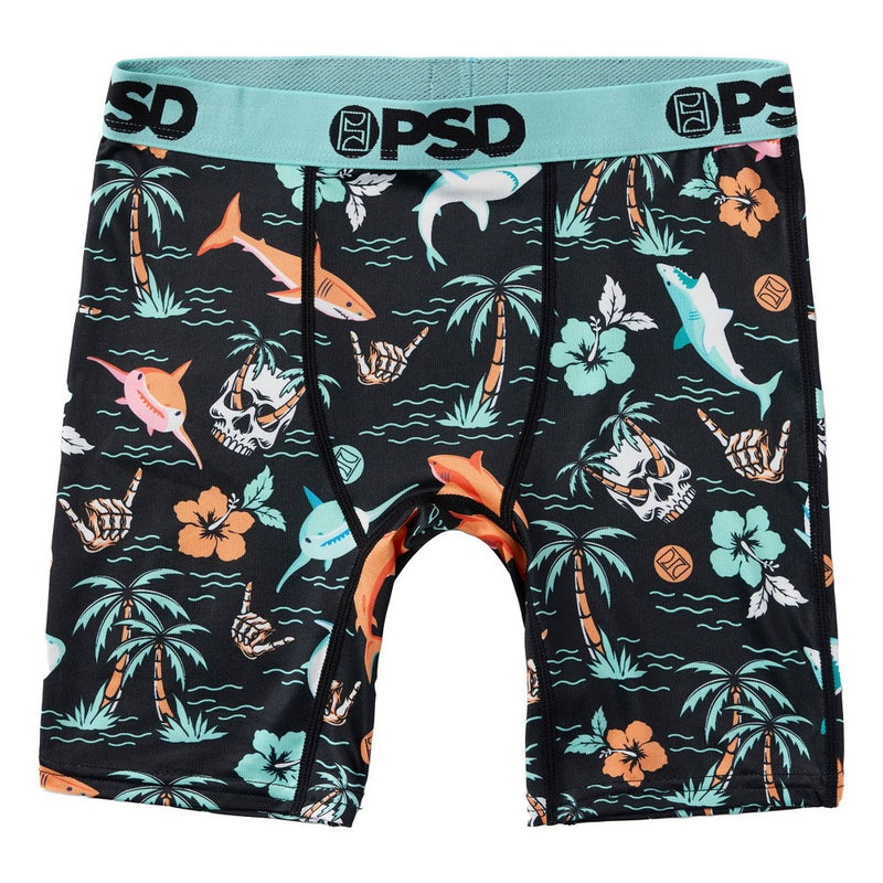 PSD Boys' 2pk Jaw Some Printed Boxer Briefs - Blue/Black L