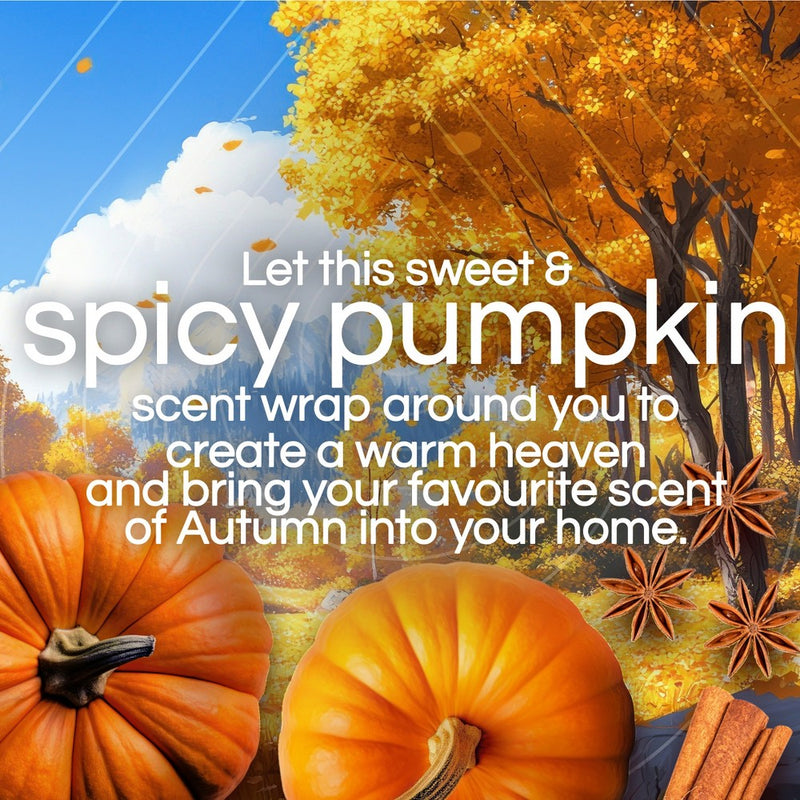 Air Wick Scented Oil Air Fresheners - Pumpkin Spice 2ct