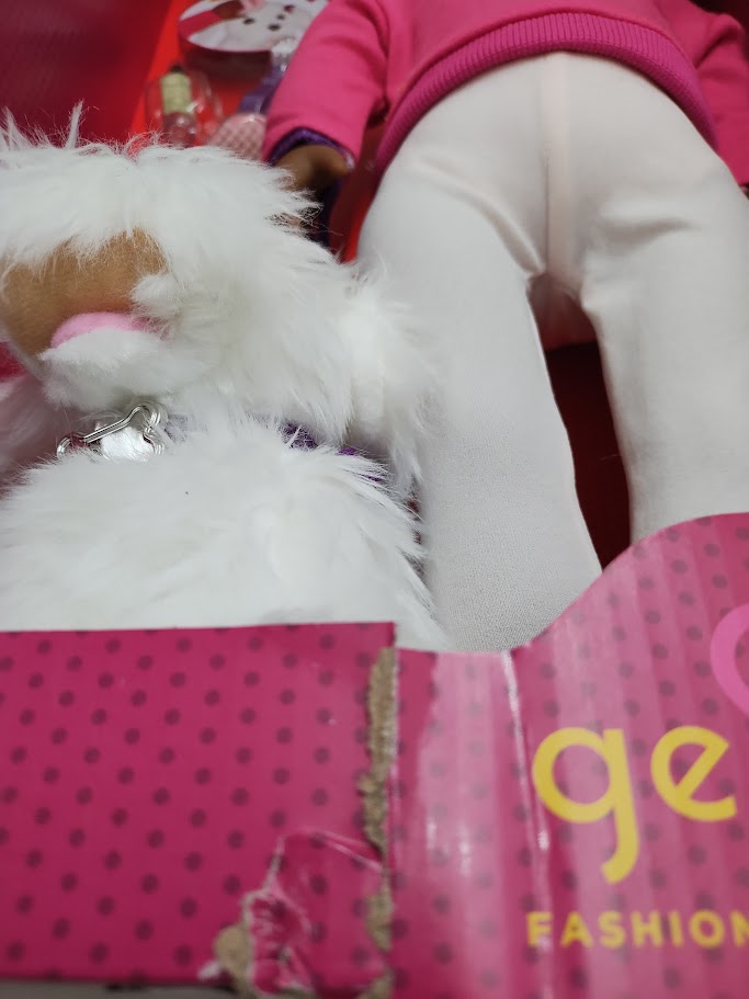 Our Generation Choyce & Jewel 18" Doll & Pet Grooming Set SEE DETAILS