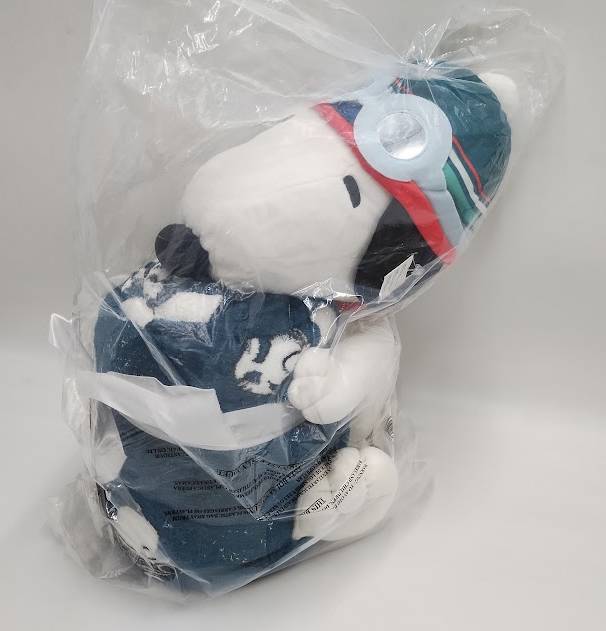 Peanuts Pillow and Throw Blanket