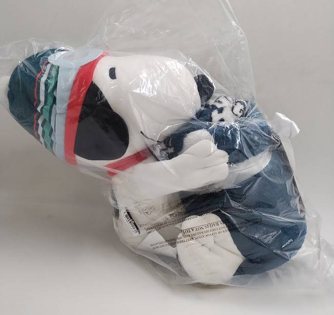 Peanuts Pillow and Throw Blanket