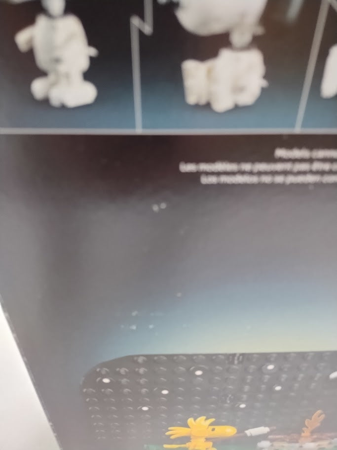 LEGO Ideas Peanuts: Snoopy's Doghouse Building Set 21368 SEE DETAILS - IN HAND!