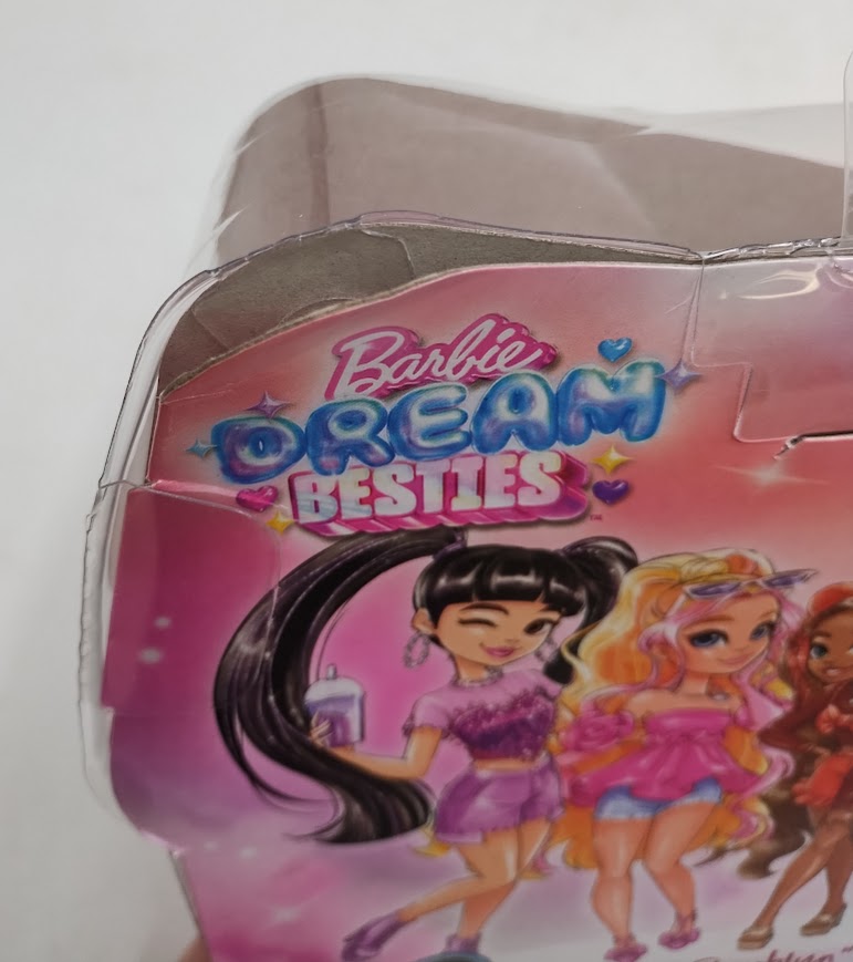 Barbie 12.7" Dream Besties Barbie Brooklyn Fashion Doll SEE DETAILS