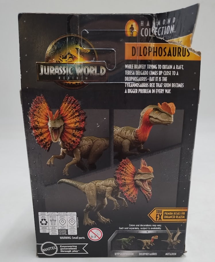 Jurassic World Hammond Collection Dilophosaurus Dinosaur Figure, Deluxe Design and Articulation SEE DETAILS