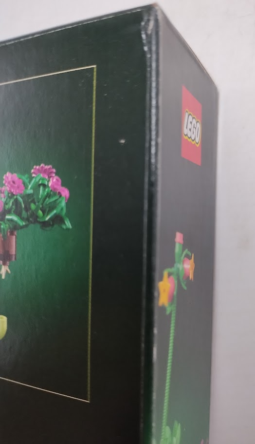 LEGO Botanicals Rocking Plants Flower Building Set 11506 SEE DETAILS