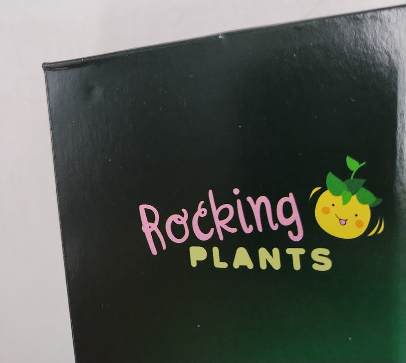 LEGO Botanicals Rocking Plants Flower Building Set 11506 SEE DETAILS