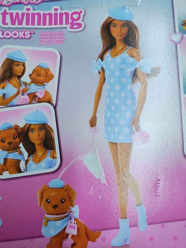Barbie Twinning Looks Fashion Doll with Pet Dog Matching Blue Clothes SEE DETAILS
