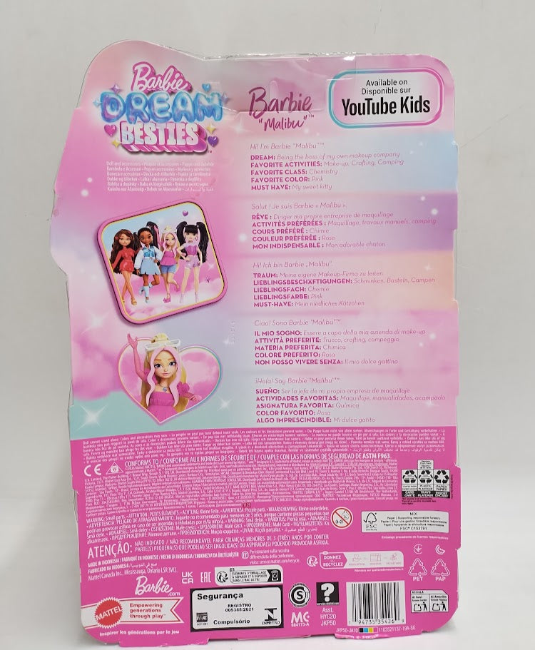 Barbie Dream Besties Barbie "Malibu" Doll & Accessories SEE DETAILS