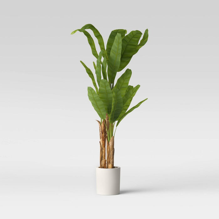 72" Banana Tree in White Cement Pot  - Opalhouse& (LOCAL PICKUP ONLY)