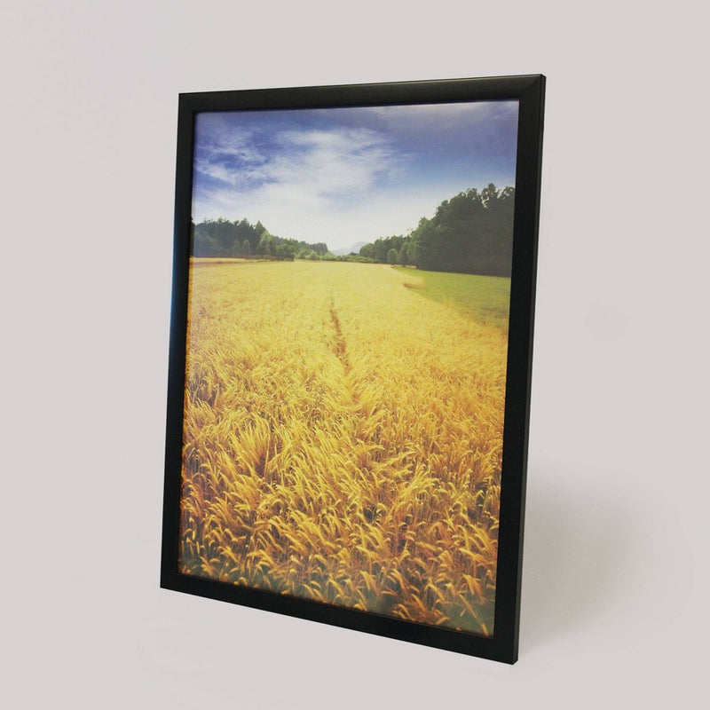 18" x 24" Profile Poster Frame Black - Room Essentials& (LOCAL PICKUP ONLY)