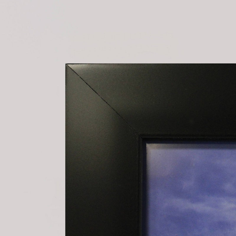 18" x 24" Profile Poster Frame Black - Room Essentials& (LOCAL PICKUP ONLY)