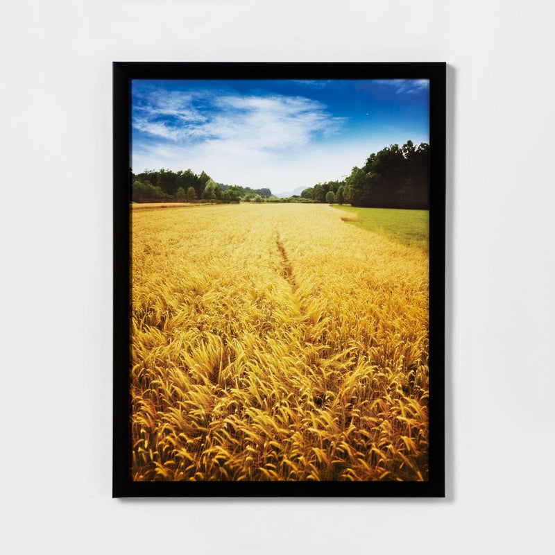 18" x 24" Profile Poster Frame Black - Room Essentials& (LOCAL PICKUP ONLY)