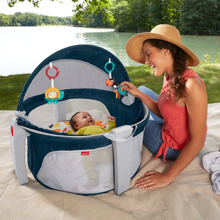 Fisher-Price On the Go Baby Dome Playard - Gray