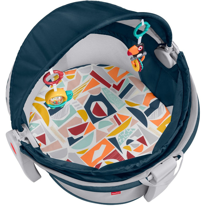 Fisher-Price On the Go Baby Dome Playard - Gray