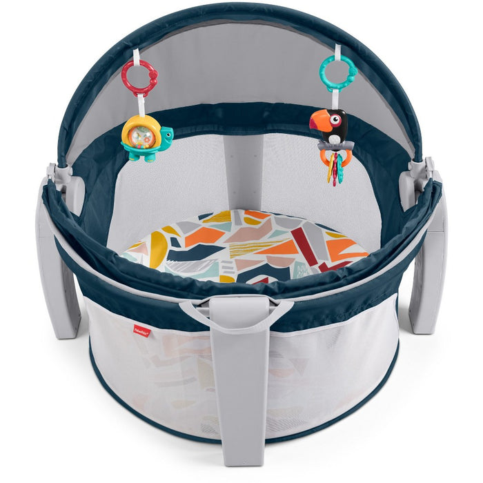 Fisher-Price On the Go Baby Dome Playard - Gray