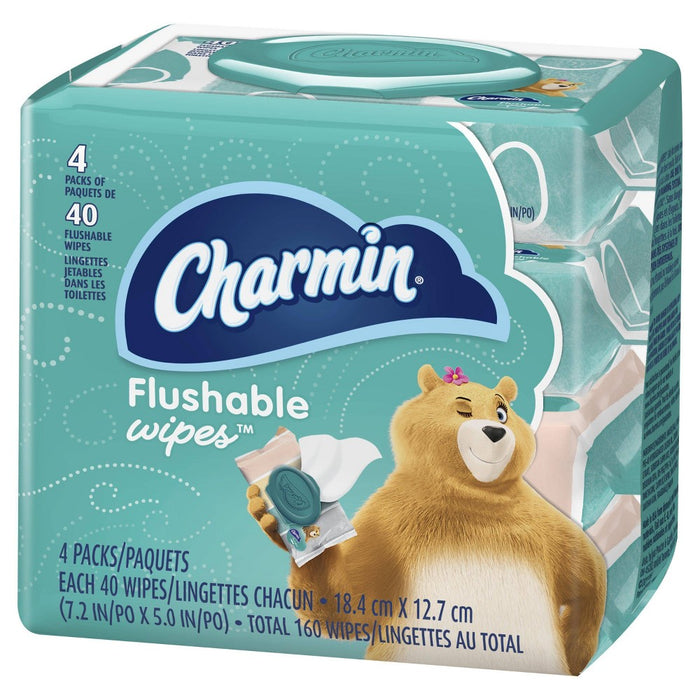 Charmin Freshmates Flushable Wipes - 4pk