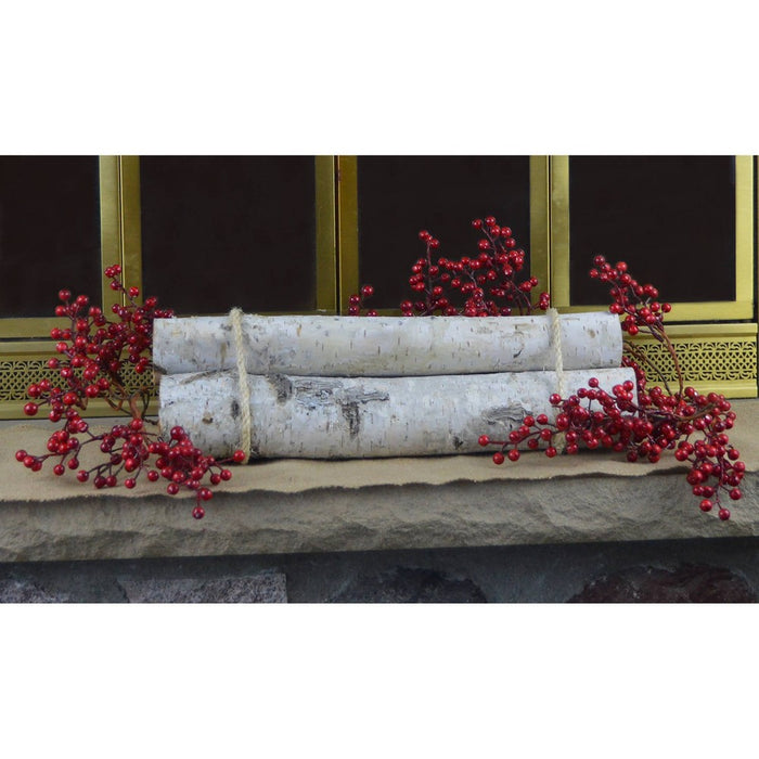 3ct Birch Roped Bundle Dried Arrangement - Wilson Enterprises