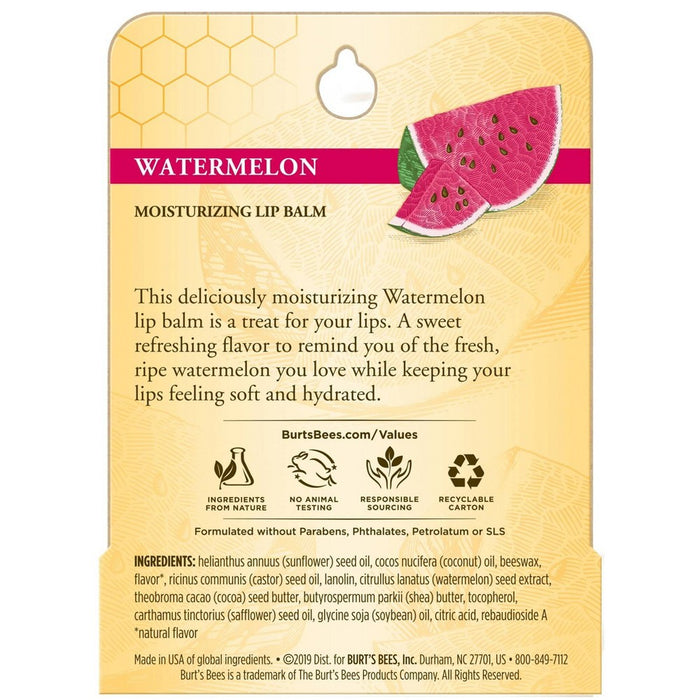 Burt's Bees Moisturizing Lip Balm - Watermelon - 0.15oz