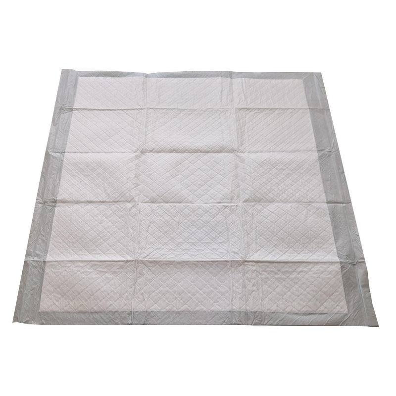 Puppy and Adult Dog Training Pads - XL - 50ct - Up&Up&