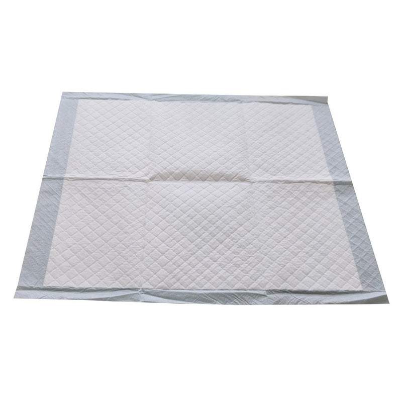 Puppy and Adult Dog Training Pads - L - 100ct - Up&Up&