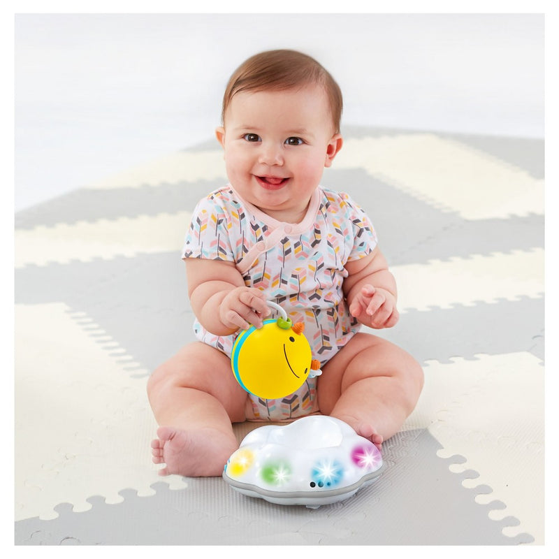 Skip Hop Explore & More Follow-Bee Crawl Toy